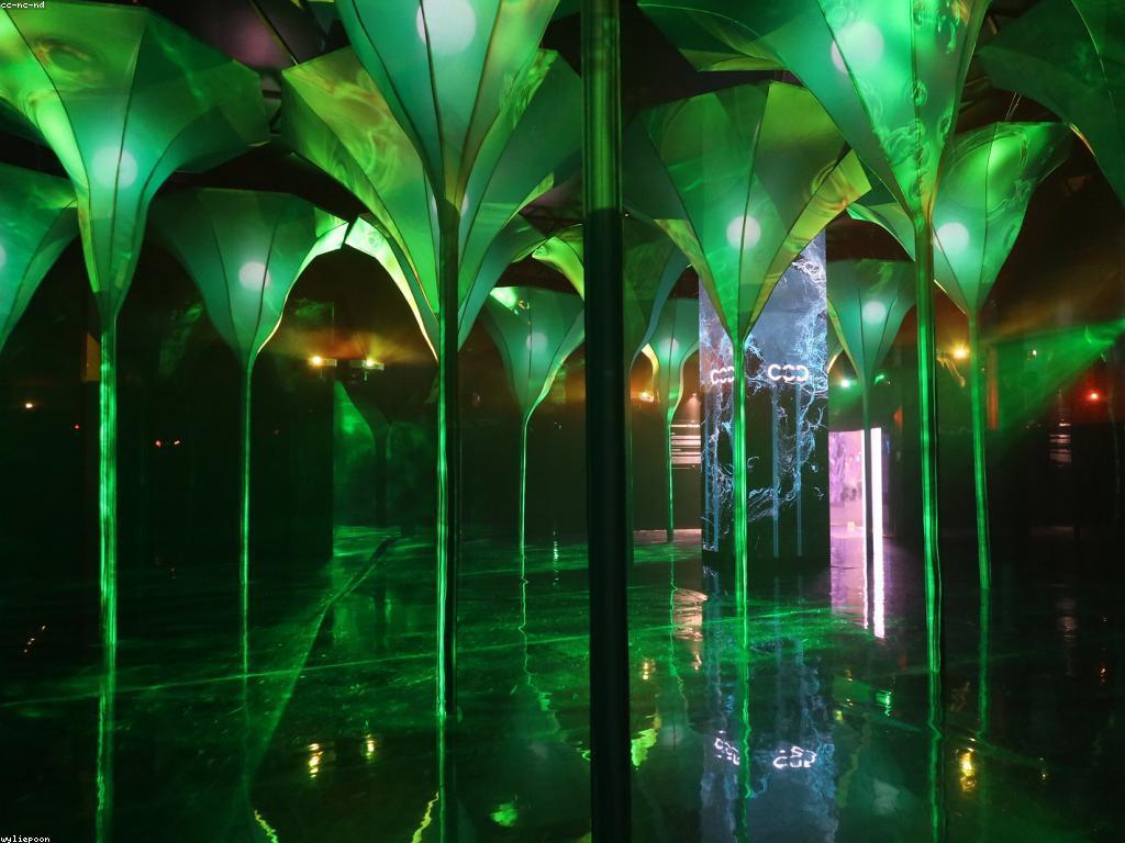 ណែនាំអំពីល្បែងកាស៊ីណូ: ស្វែងយល់អំពីប្រភេទនិងវិធីលេង