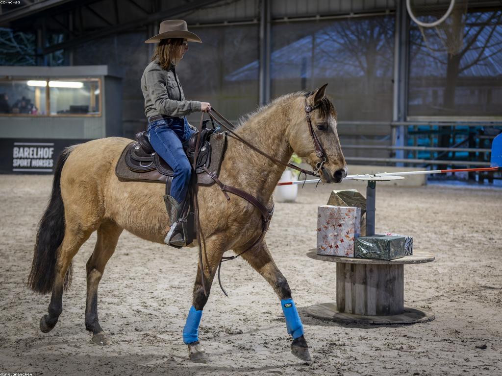 ព័ត៌មានថ្មីៗ៖ ការប្រកួតអន្តរជាតិ